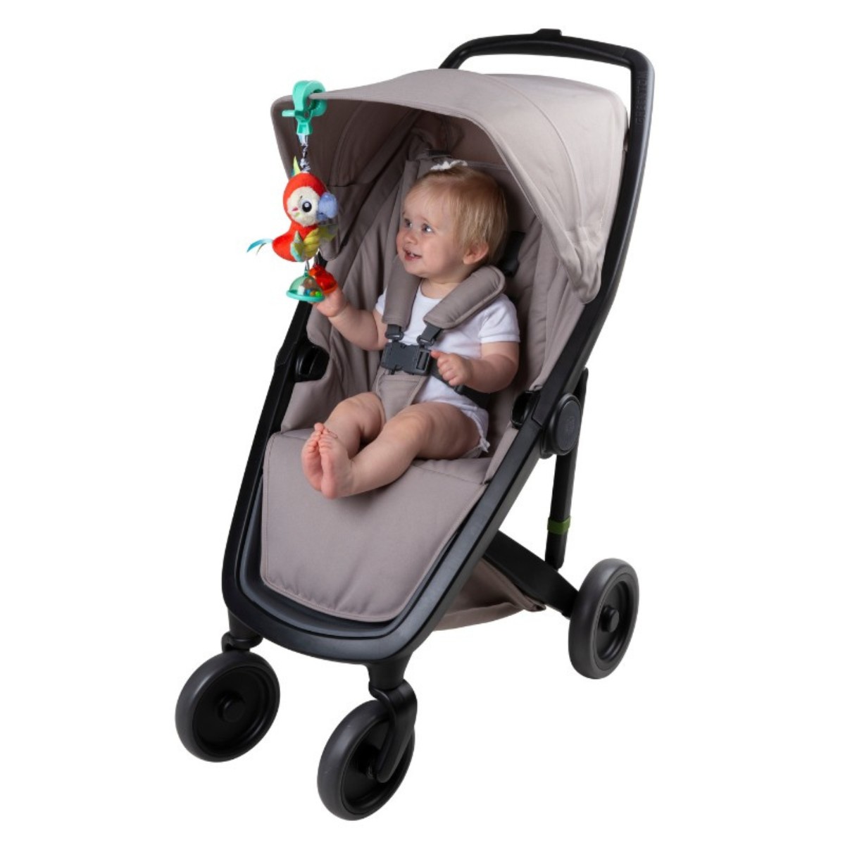 Juguete Dingly Dangly Playgro Mio Macaw