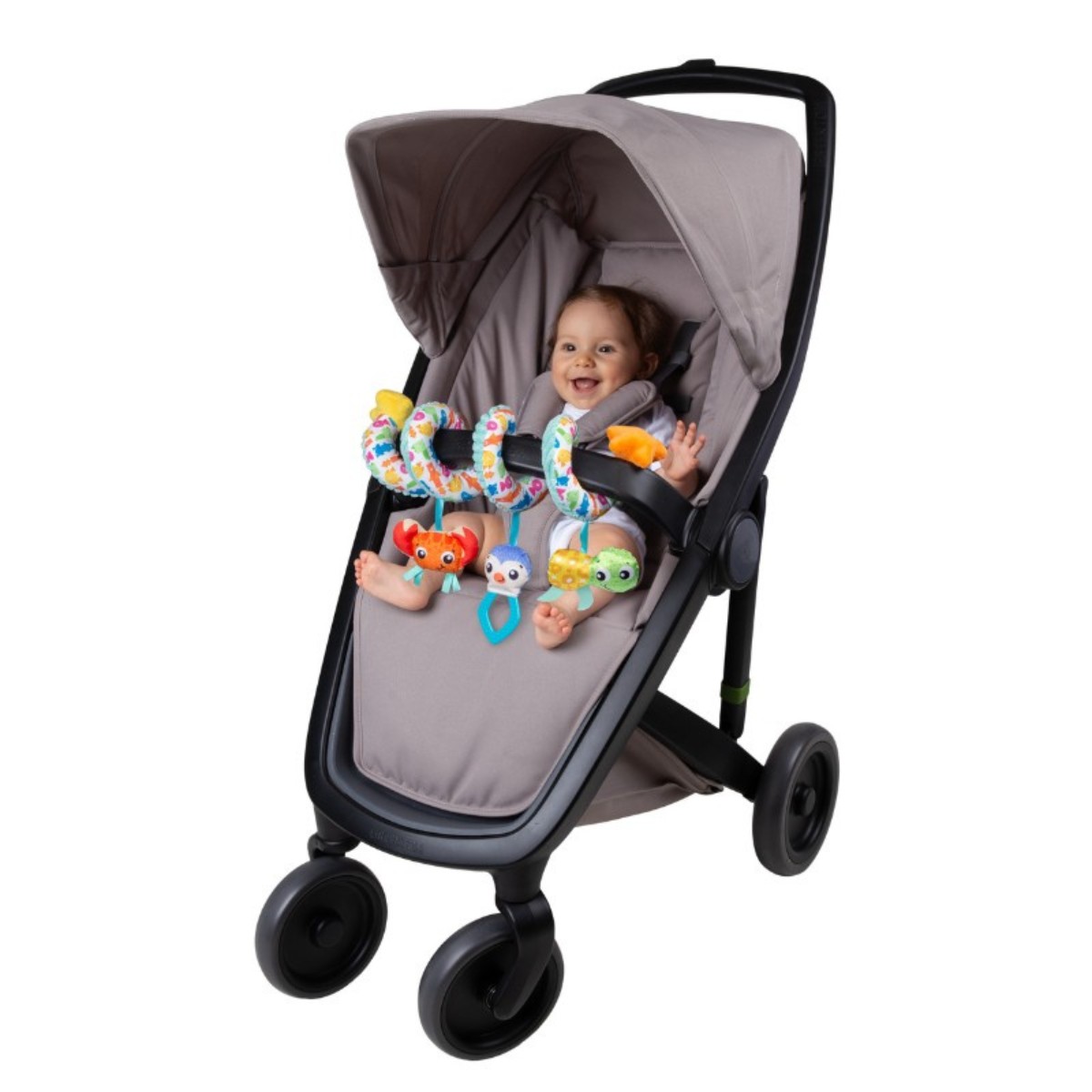 Juguete Ocean Adventure Twirly Whirly Playgro