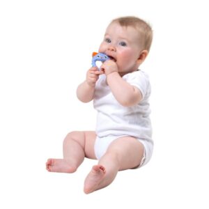 Mordillos de Silicona Playgro Soothe & Chew