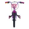 Bicicleta de paseo R16 con cantimplora GTS rosa Bicicleta de paseo R16 con cantimplora GTS rosa