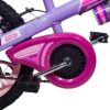 Bicicleta de paseo R16 con cantimplora GTS rosa Bicicleta de paseo R16 con cantimplora GTS rosa